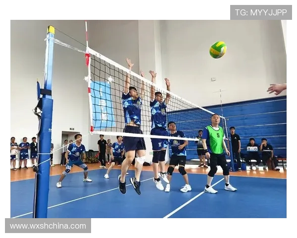杭州排球队的节奏与魅力探秘:排球运动的激情与团队精神