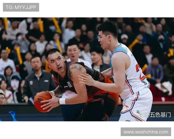 陶汉林:从篮球场上的拼搏到人生舞台的辉煌旅程