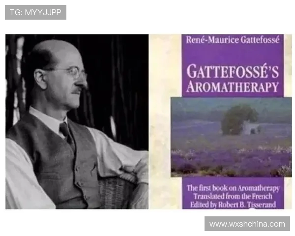 专访张娜：探讨CSGO背后的成功秘诀与发展历程