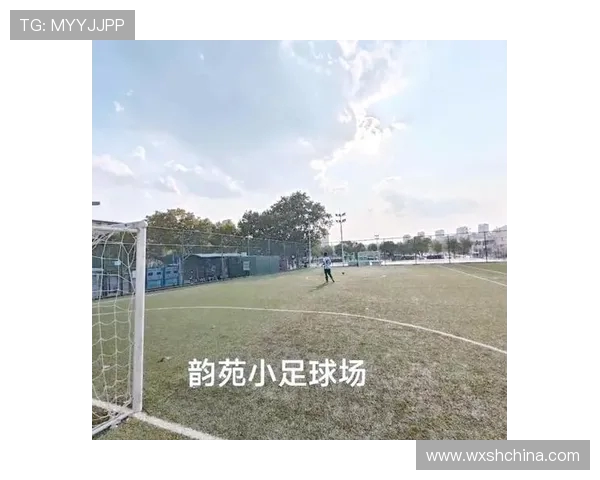 深圳排球队的辉煌与挑战：深入解析排球巨献背后的故事与现状